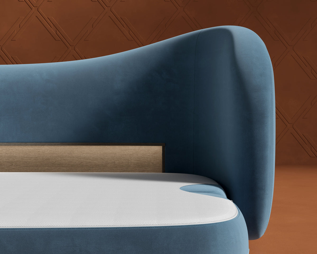 Diane Form Sleeper Sofa